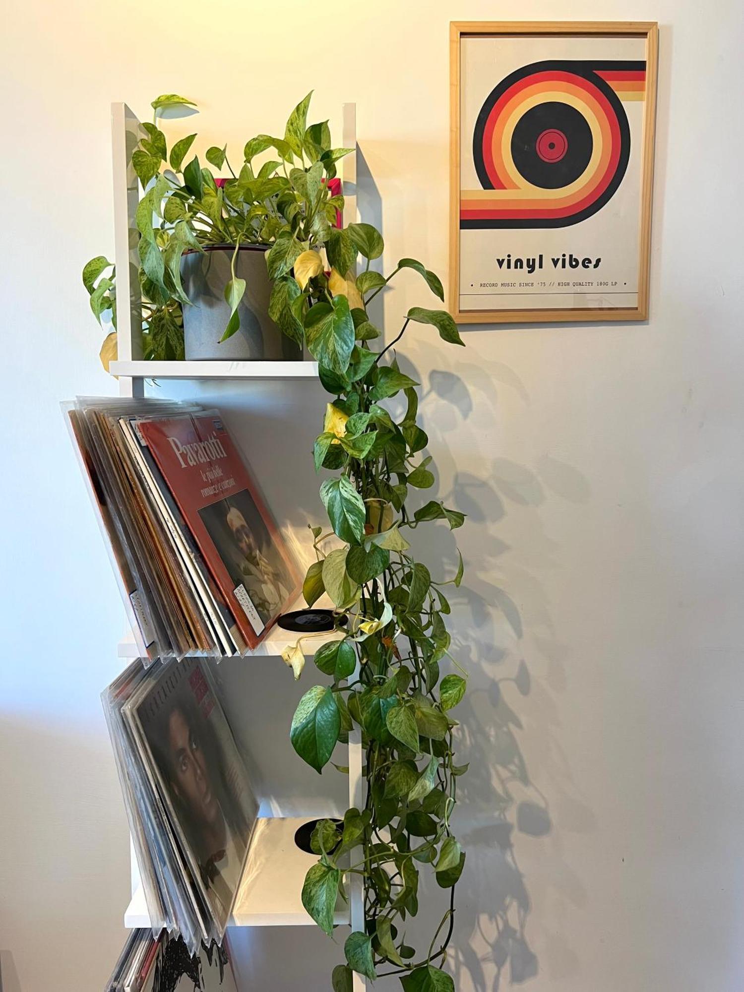 Eufonia Vinyl Friendly Apartment Rome Exterior photo